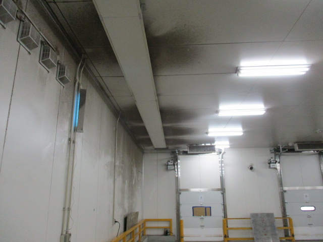 倉庫　天井　壁　パネルクリーニング前